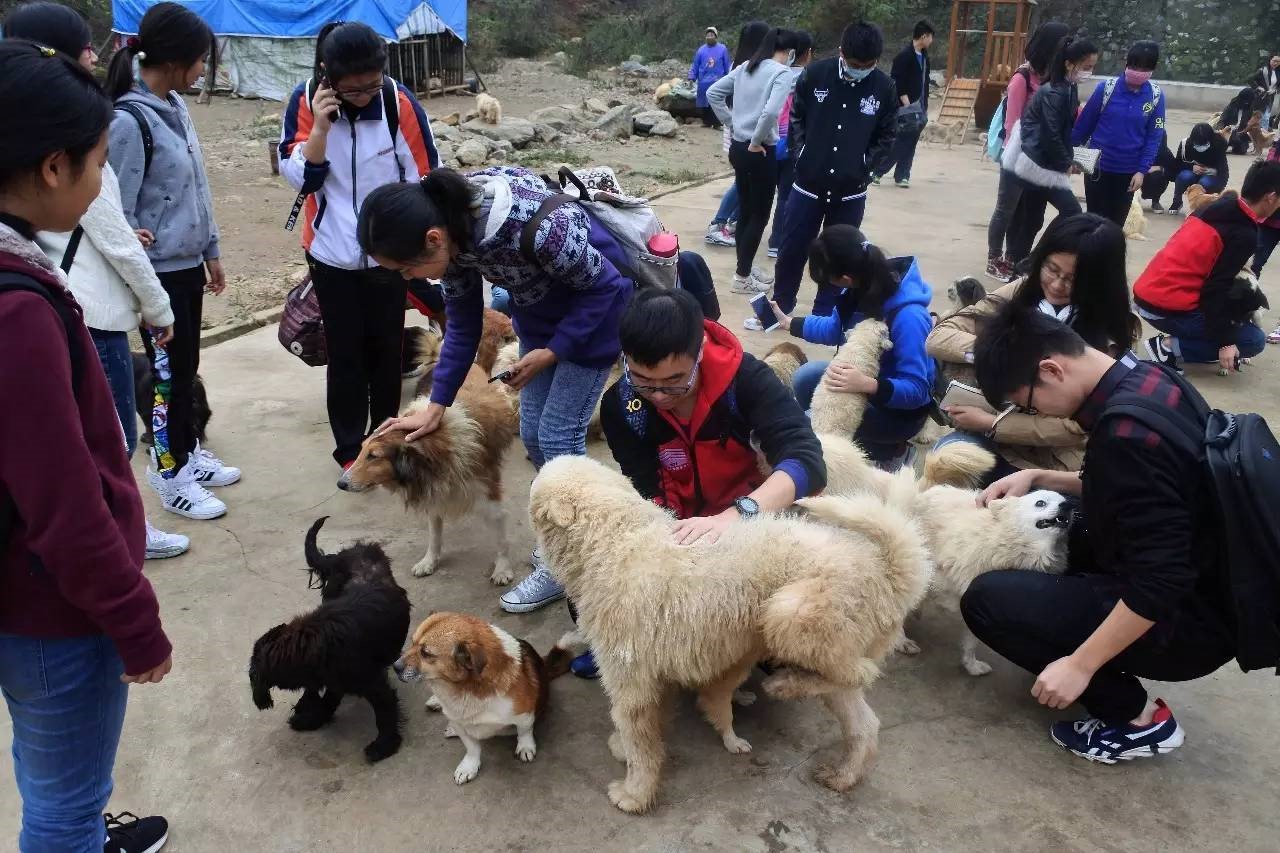 //mmbiz.qlogo.cn/mmbiz/6JbAdGRicscShyDOCzMibia52asqE5Xm8F8wLuXx9g1SgA4LsJU4gJB4I3kiaibNQaqiaTCLInFLSJ8kpzDoB6kjkj9Q/0?wx_fmt=jpeg